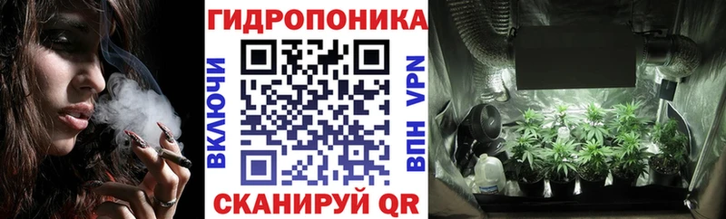 Шишки марихуана конопля  Кизел 